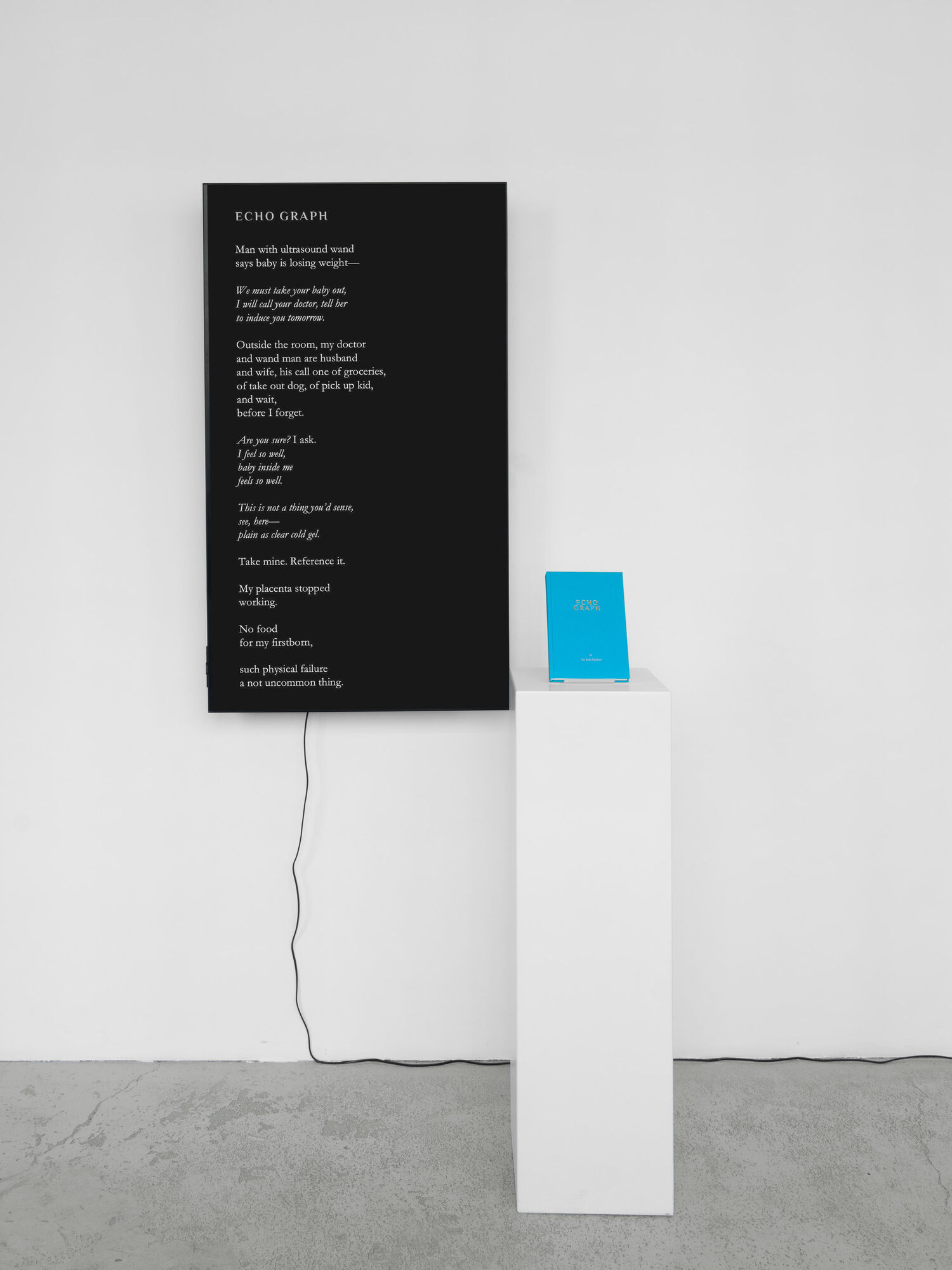 Ana Maria Caballero, Echo Graph Book Sculpture , 2025
