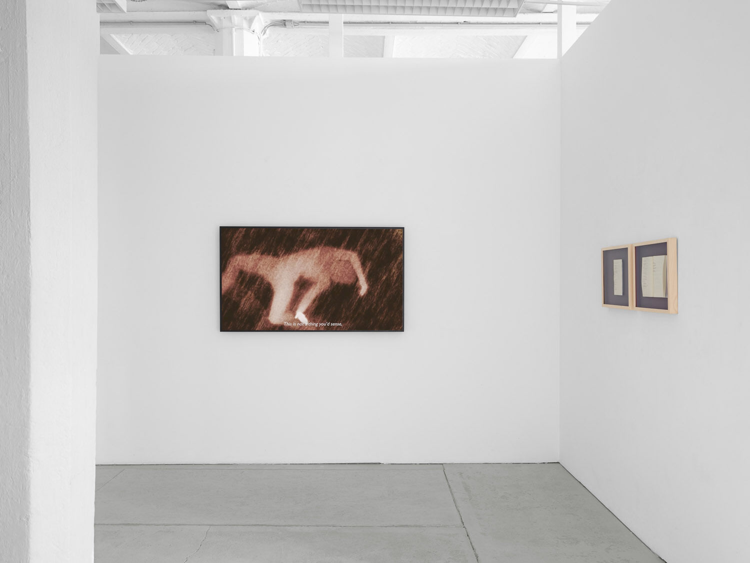 Ana Maria Caballero, Echo Graph , 2025